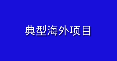 典型海外（wài）項目
